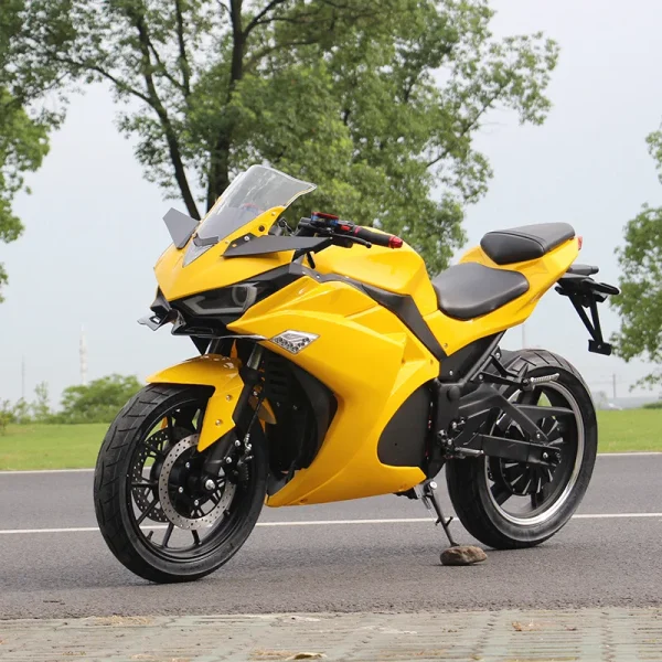 2 Wheel Bike Racing Bicycle Price Adult Electric Motorcycle Electric Motorcycle Big Space Battery Fat Tire Electric Motorcycle