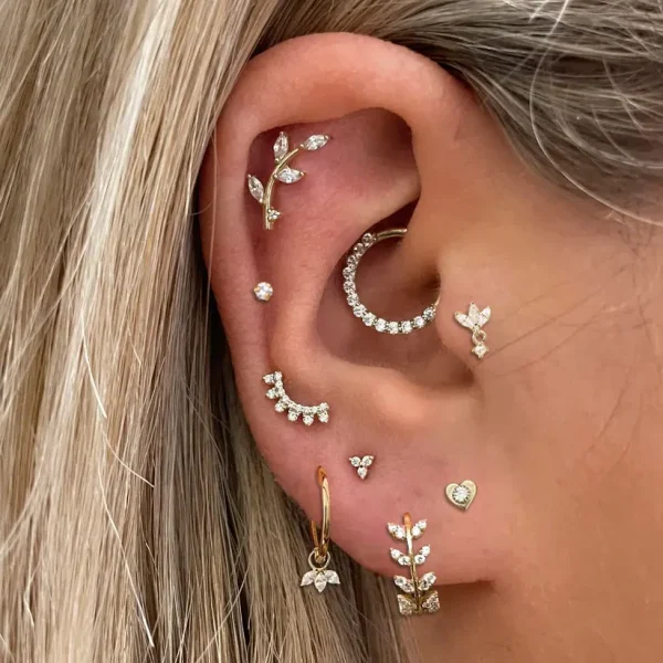 Tragus Daith Helix Lobe Ear Piercing for Women Heart Leaf Zircon Cartilage Piercing Earring Stainless Steel Fashion Jewelry Gift