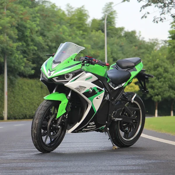 2 Wheel Bike Racing Bicycle Price Adult Electric Motorcycle Electric Motorcycle Big Space Battery Fat Tire Electric Motorcycle
