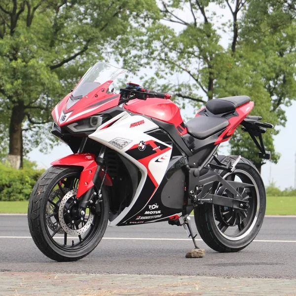 2 Wheel Bike Racing Bicycle Price Adult Electric Motorcycle Electric Motorcycle Big Space Battery Fat Tire Electric Motorcycle