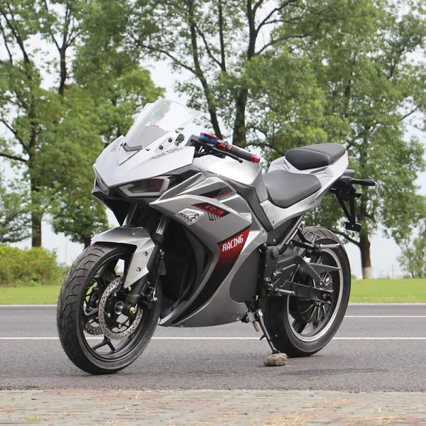 2 Wheel Bike Racing Bicycle Price Adult Electric Motorcycle Electric Motorcycle Big Space Battery Fat Tire Electric Motorcycle