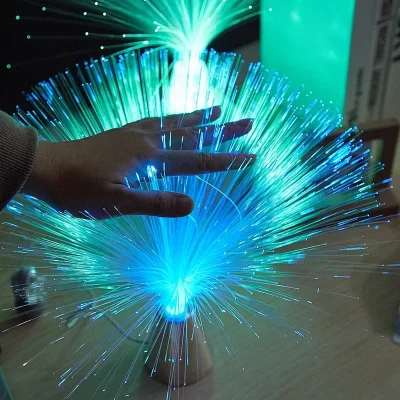 Holiday Atmosphere Lights LED Fiber Optic Lights Lanterns Starry Sky Wedding Party Christmas Decoration Home Furnishing